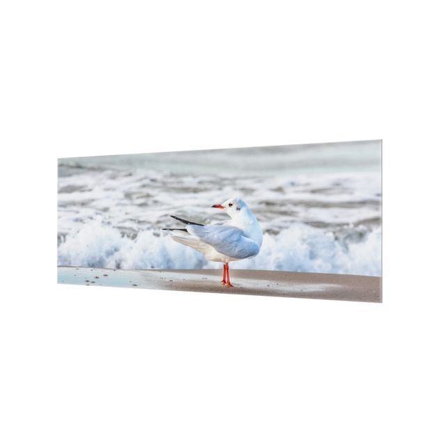 Glass splashback animals Seagull On The Beach In Front Of The Sea