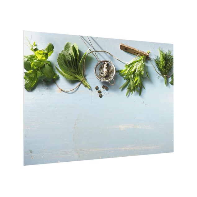 Glass splashback kitchen Bundled Herbs