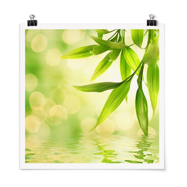 Floral canvas Green Ambiance I