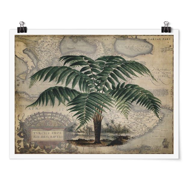 Posters maps Vintage Collage - Palm And World Map