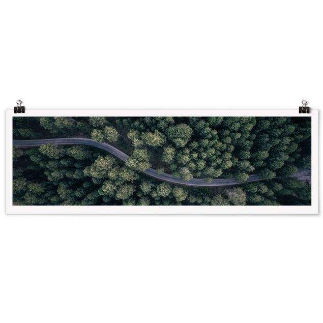 Contemporary art prints Aerial View - Forest Road From The Top
