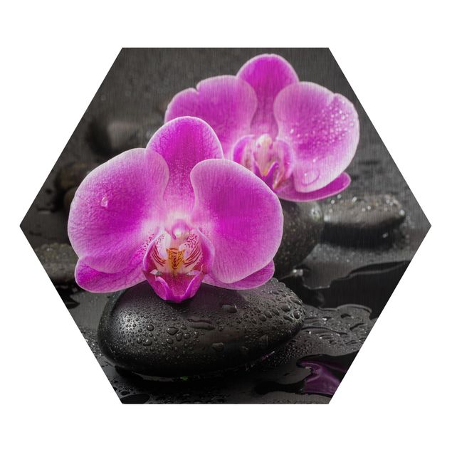Floral prints Pink Orchid Flower On Stones With Drops