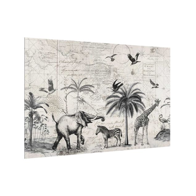 Glass splashback art print Vintage Collage - Exotic Map