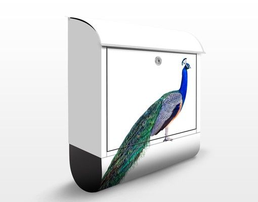 Letterboxes animals Peacock