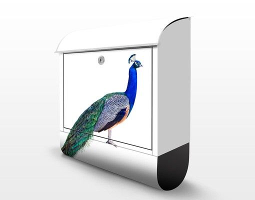 Letterboxes Peacock
