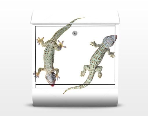 Green post box Nosey Geckos