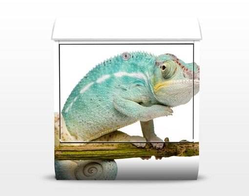 Blue letter box Blue Chameleon