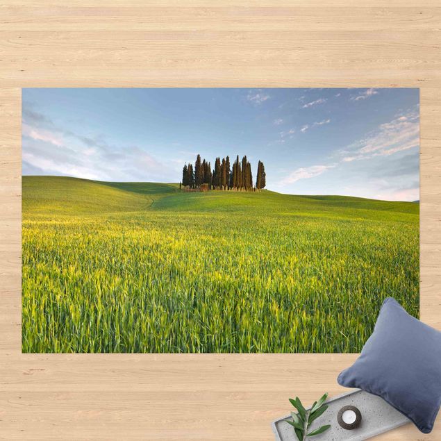 Outdoor rugs Green Field In Tuscany