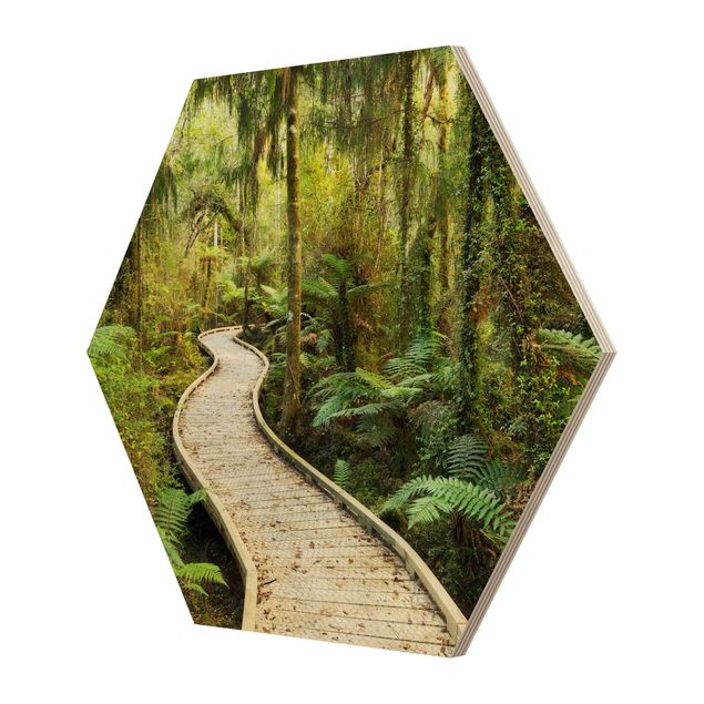 Wooden hexagon - Path In The Jungle