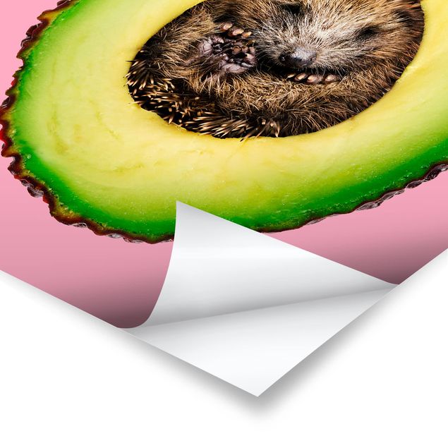 Prints Avocado With Hedgehog