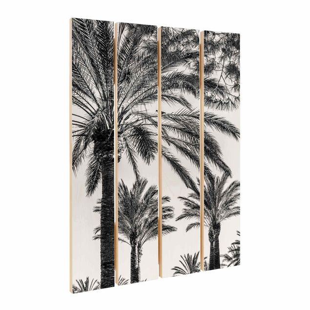 Prints Palm Trees At Sunset Black And White