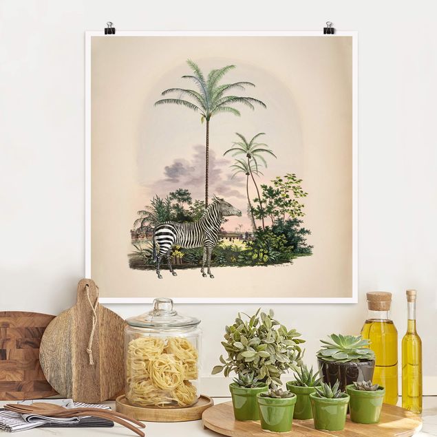 Kitchen Zebra Front Of Palm Trees Illustration