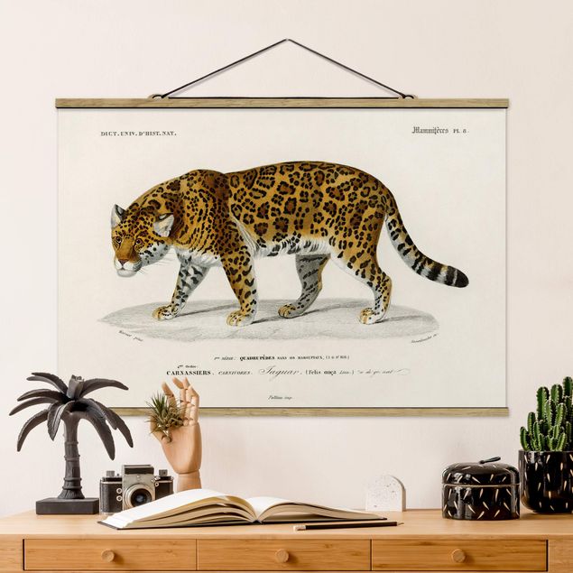 Kitchen Vintage Board Jaguar