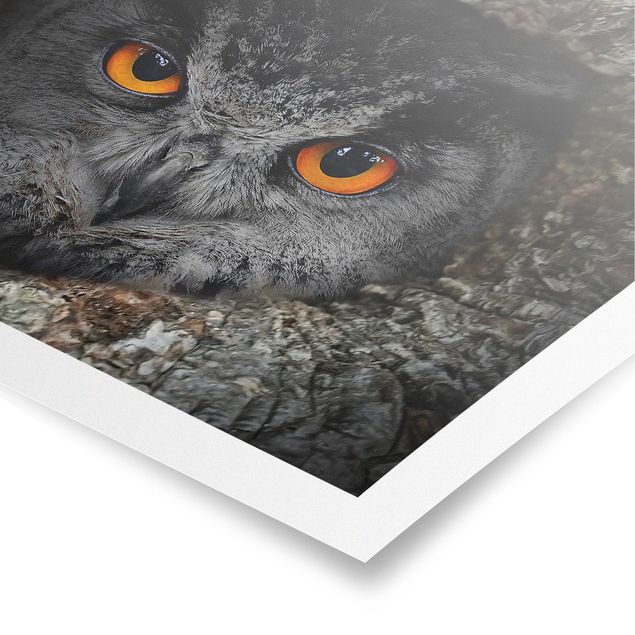 Grey canvas art Watching Owl