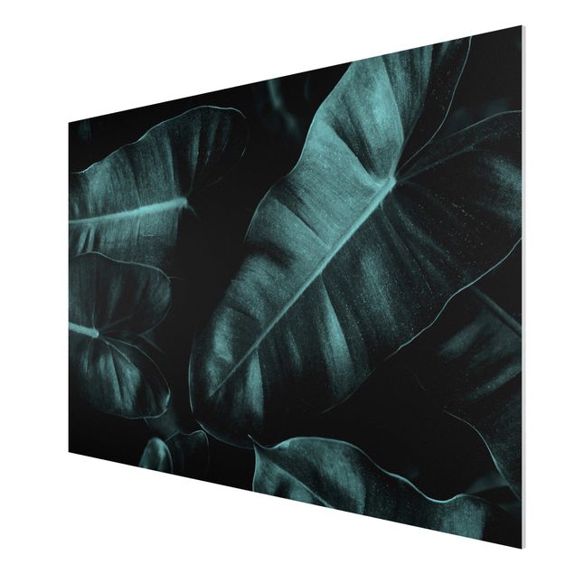 Art prints Jungle Leaves Dark Green
