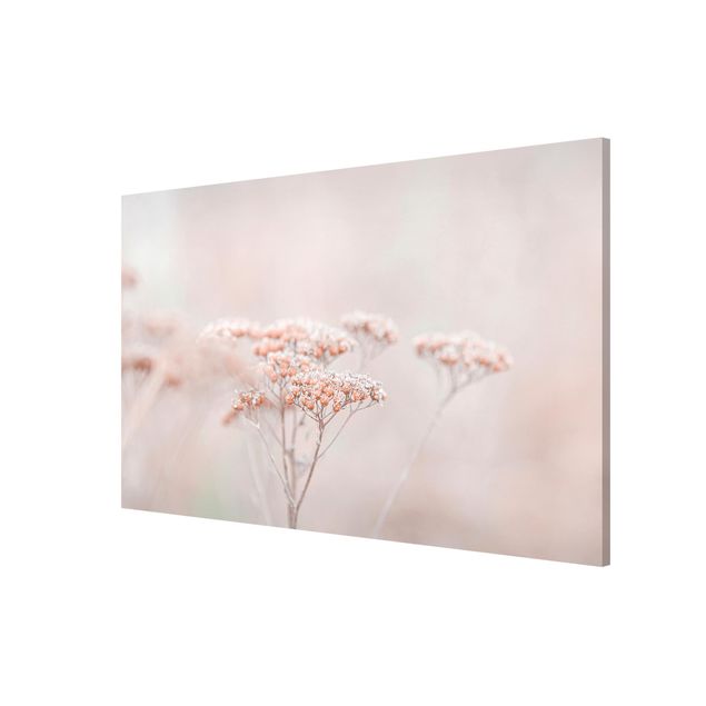 Floral canvas Pale Pink Wild Flowers