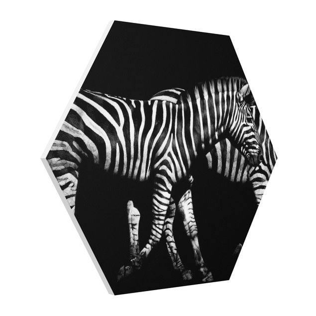 Prints modern Zebra In The Dark