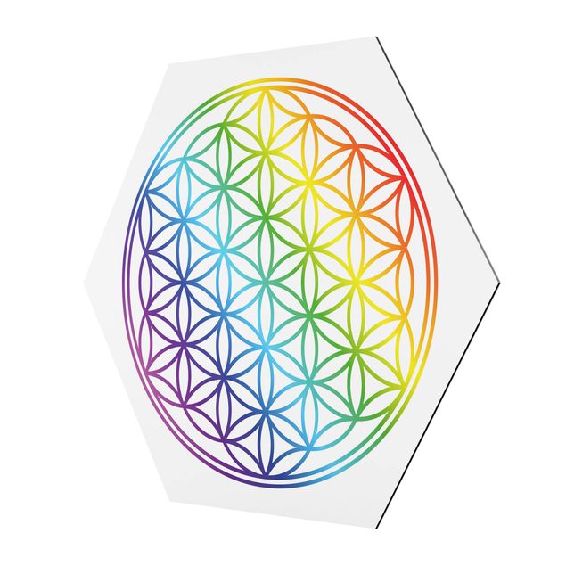Hexagon photo prints Flower of Life rainbow color