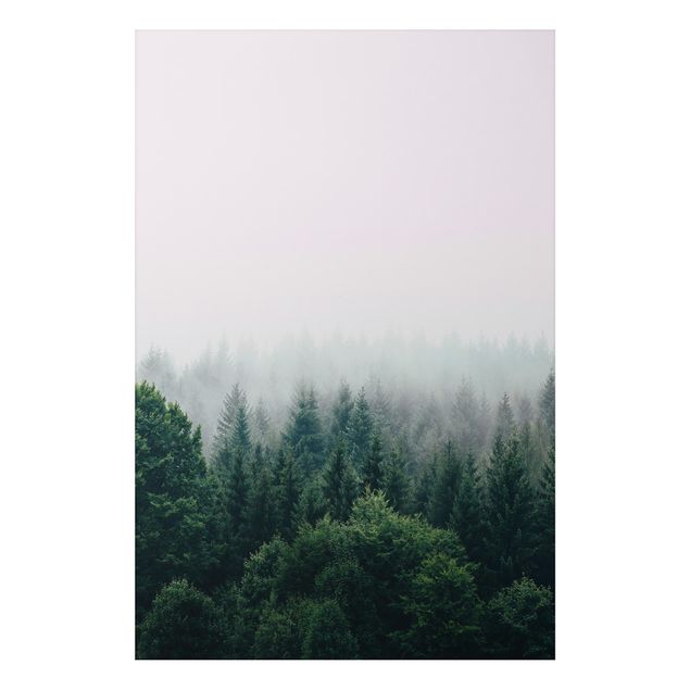 Landscape canvas prints Foggy Forest Twilight