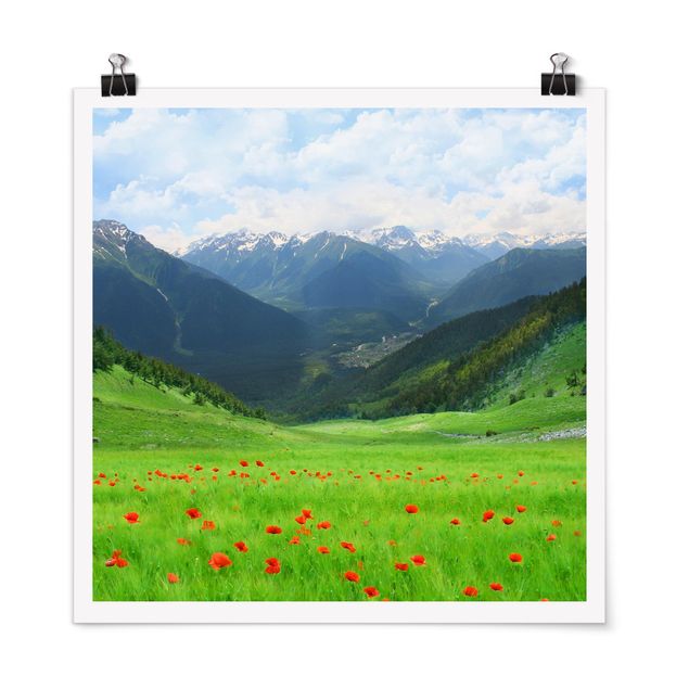 Mountain art prints Alpine Meadow