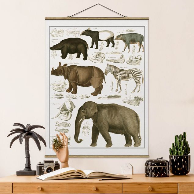 Kitchen Vintage Board Elephant, Zebra And Rhino