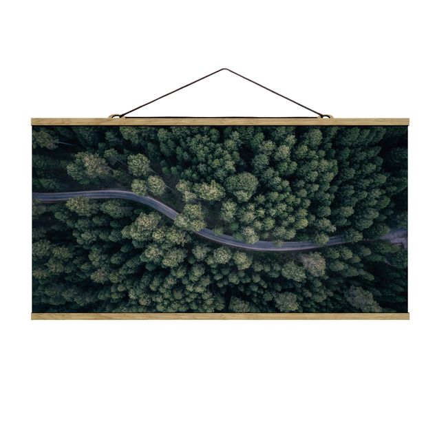 Prints modern Aerial View - Forest Road From The Top