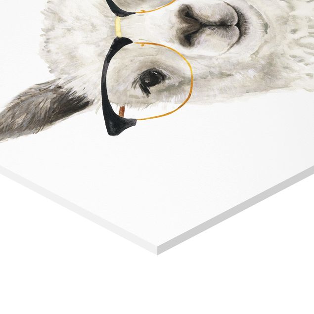 Forex hexagon - Hip Lama With Glasses I
