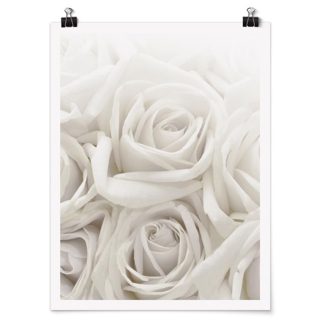 Contemporary art prints White Roses