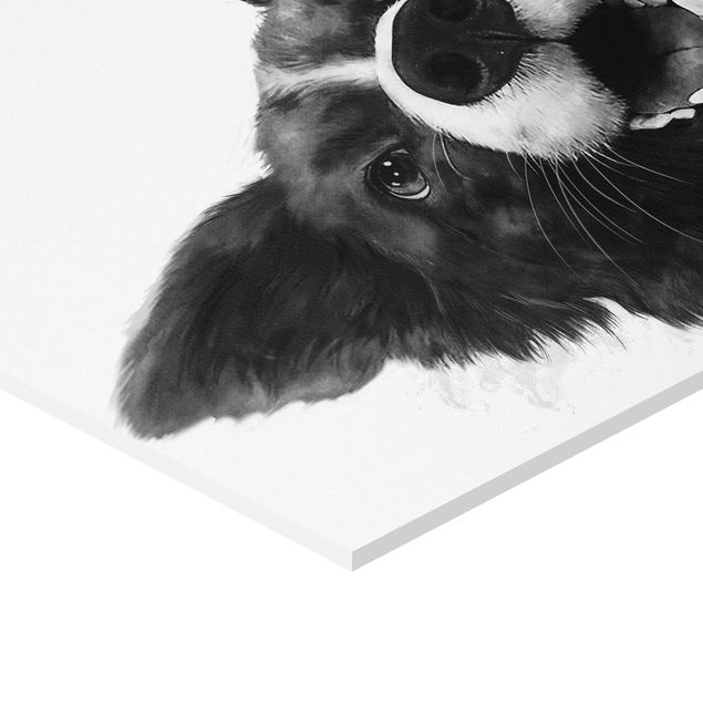 Prints Illustration Dog Border Collie Black And White Painting