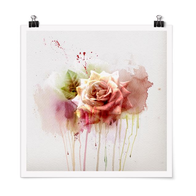 Prints flower Watercolour Rose