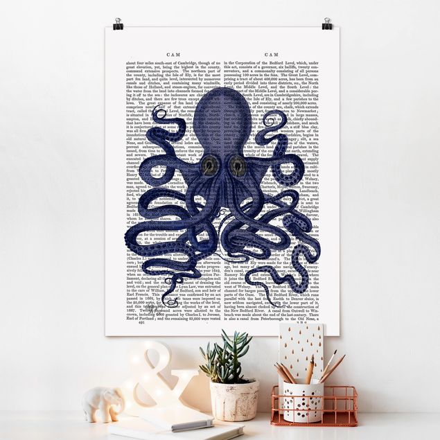 Kitchen Animal Reading - Octopus