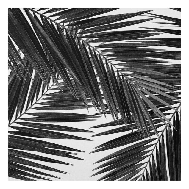 Glass splashback kitchen landscape View Through Palm Leaves Black And White