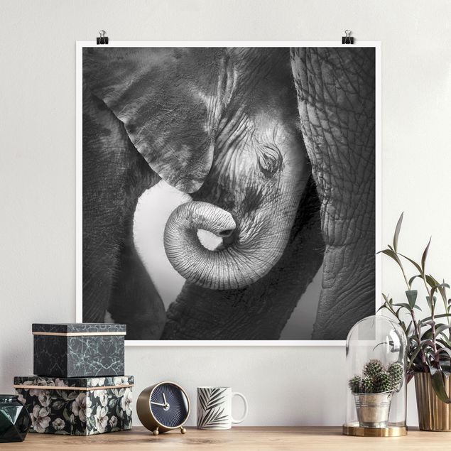 Prints elefant Mother's Love