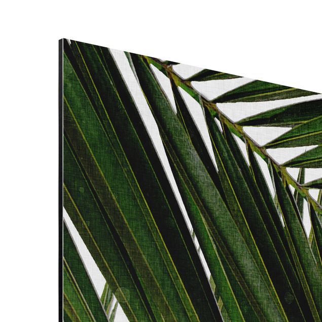 Prints flower View Through Green Palm Leaves