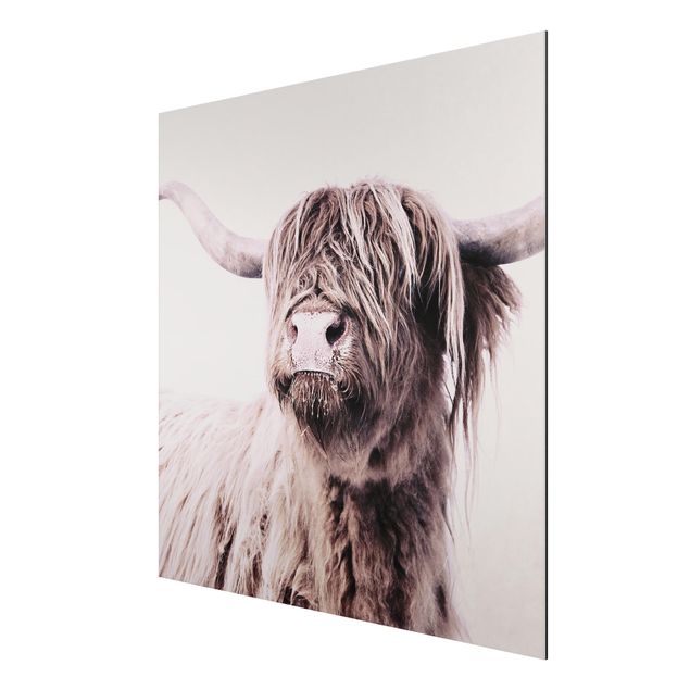 Modern art prints Highland Cattle Frida In Beige