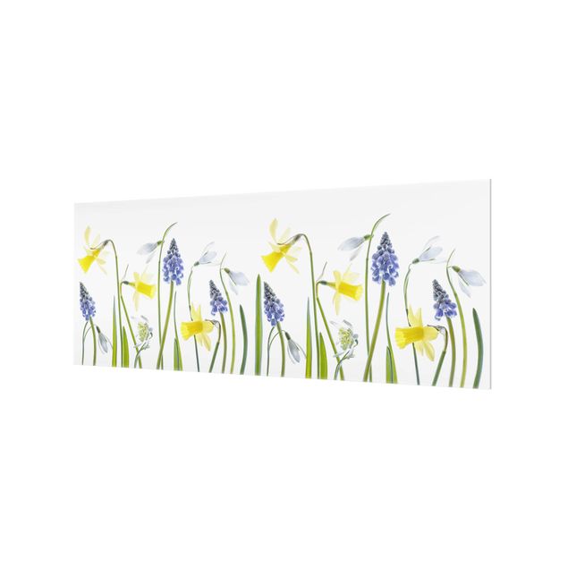 Glass Splashback - Spring Flowering - Panoramic