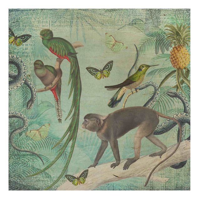 Wood prints flower Colonial Style Collage - Monkeys And Birds Of Paradise
