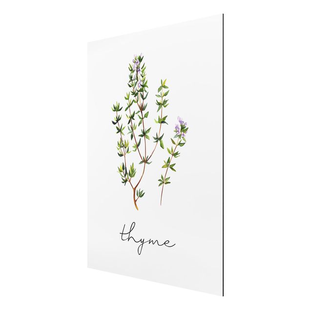 Prints flower Herbs Illustration Thyme