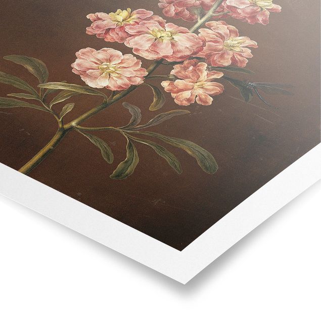 Prints floral Barbara Regina Dietzsch - A Light Pink Gillyflower