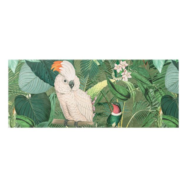 Glass splashback kitchen animals Vintage Collage - Cockatoo And Hummingbird