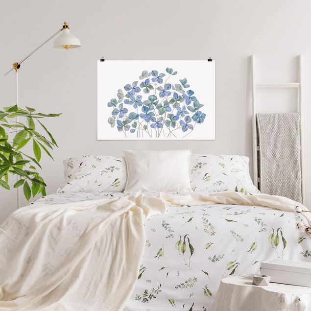 Floral prints Blue Hydrangea Flowers