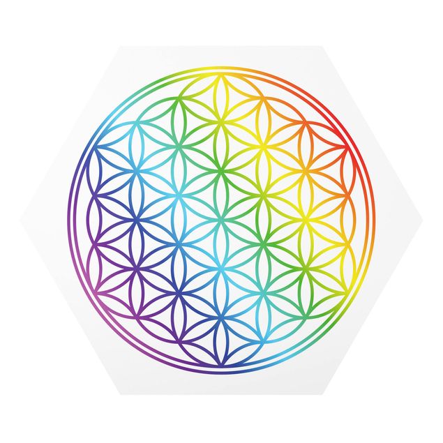 Forex photo prints Flower of Life rainbow color