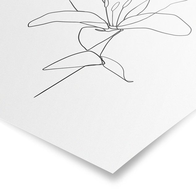 Prints floral Line Art Flower Black White