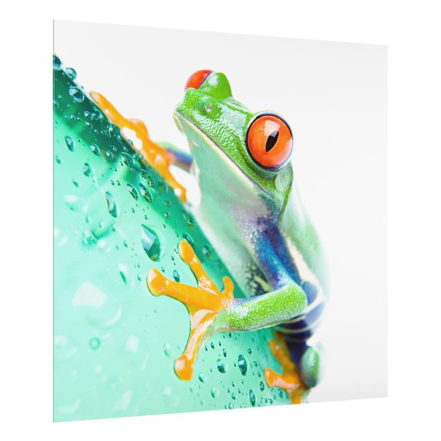 Glass splashback Frog