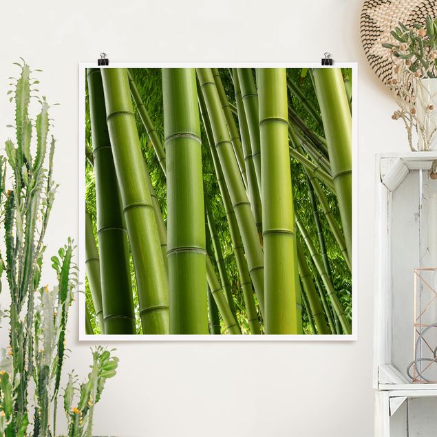 Prints landscape Bamboo Trees