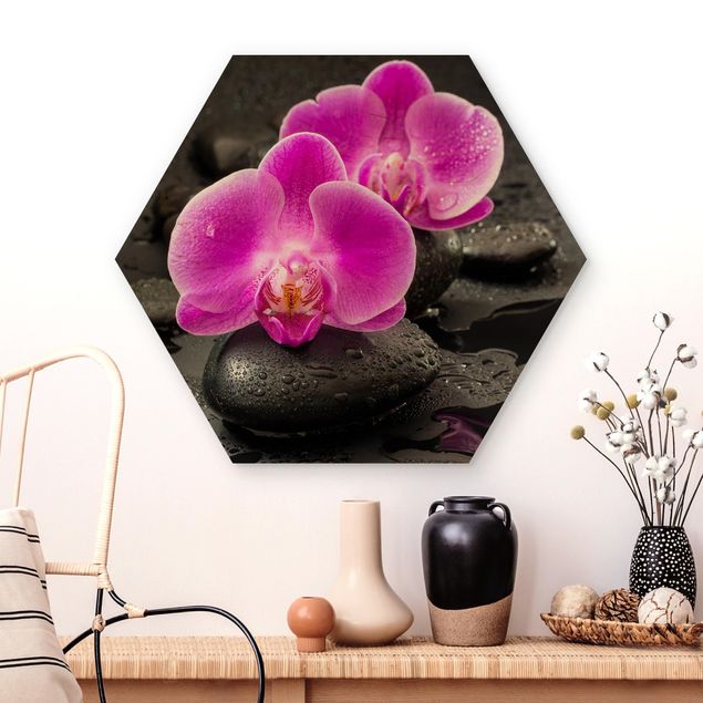Kitchen Pink Orchid Flowers On Stones With Drops
