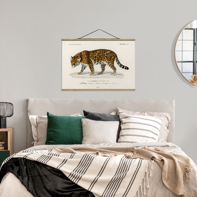Tiger art print Vintage Board Jaguar