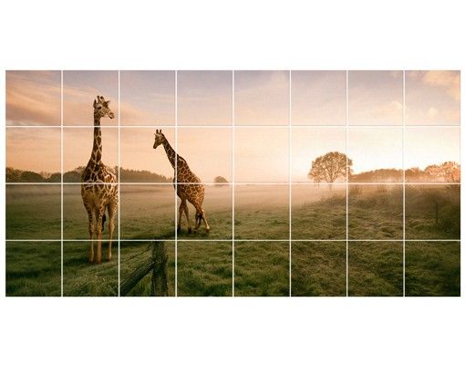 Adhesive films Surreal Giraffes