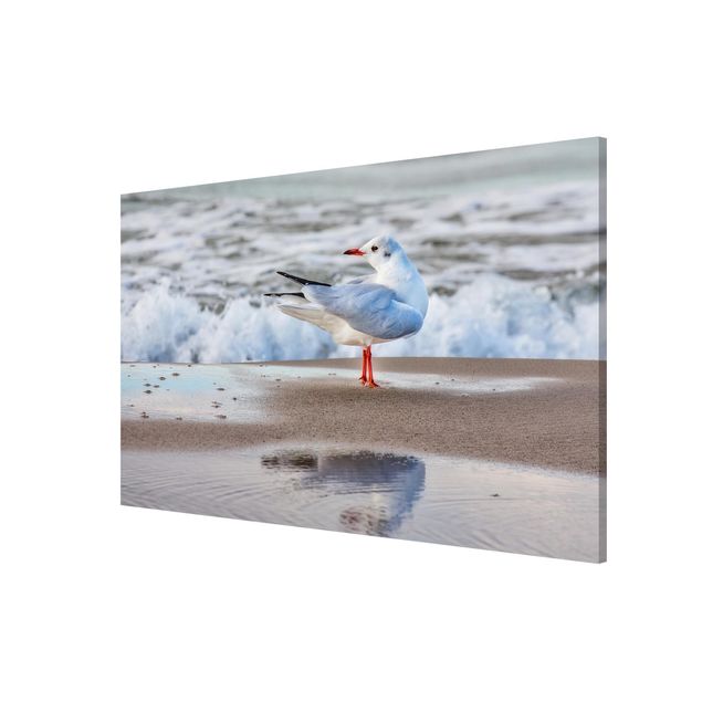 Beach wall art Seagull On The Beach In Front Of The Sea