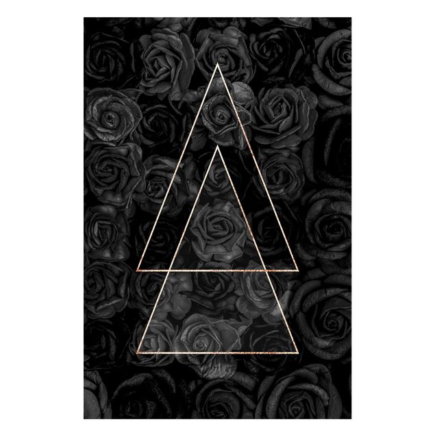Magnet boards flower Black Rose In Golden Triangle